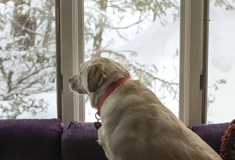 مبيت وإفطار Admiral Peary Inn