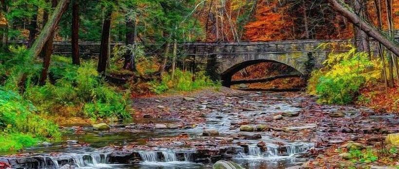 Allegiance Bed And Breakfast