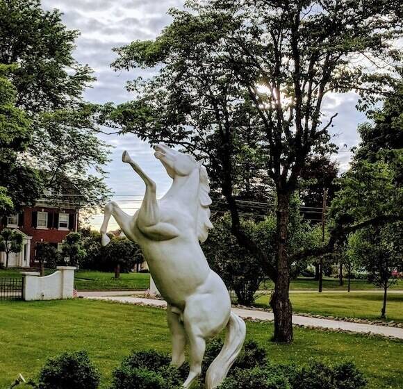 Allegiance Bed And Breakfast