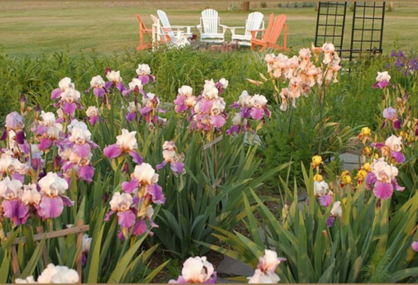 Annville Inn Bed And Breakfast