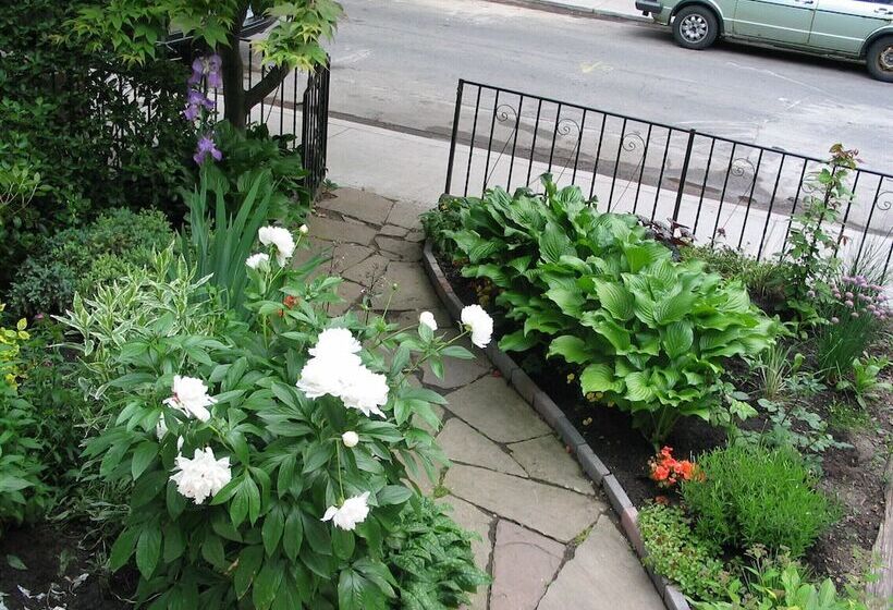 住宿加早餐 A Seaton Dream