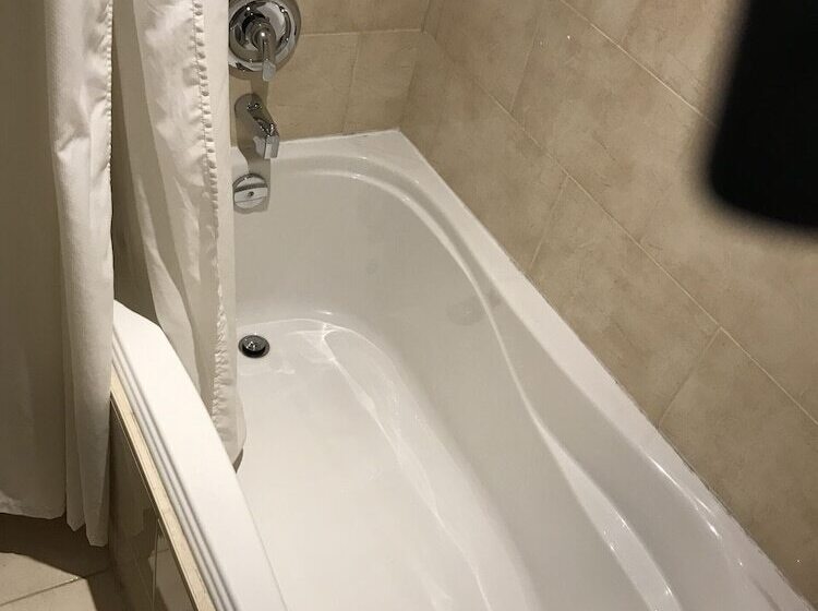 住宿加早餐 A Seaton Dream