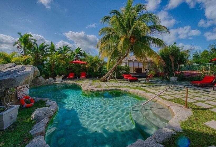 ベッドアンドブレックファースト A Stone's Throw Away