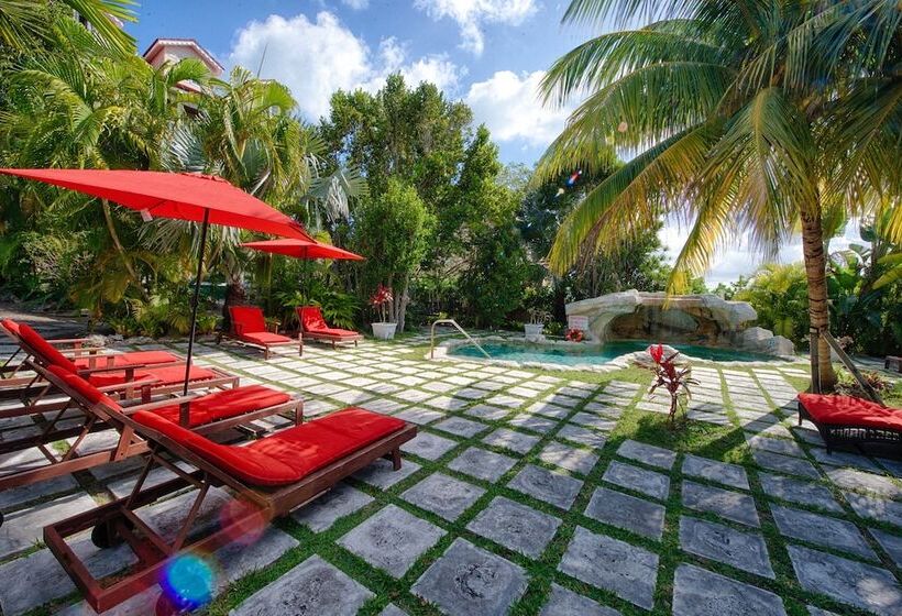 ベッドアンドブレックファースト A Stone's Throw Away