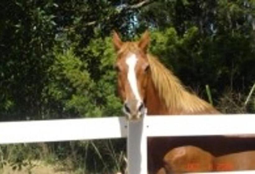 مبيت وإفطار Bamboo Valley Inn