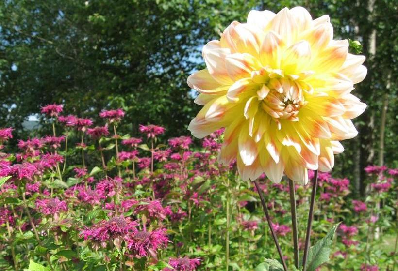 민박 Birch Ridge Inn