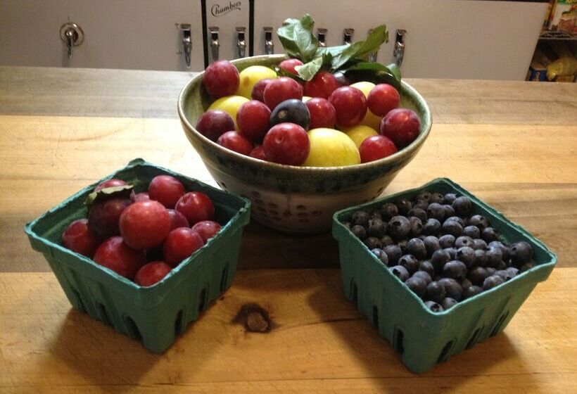 Bed and Breakfast Brass Pineapple Inn