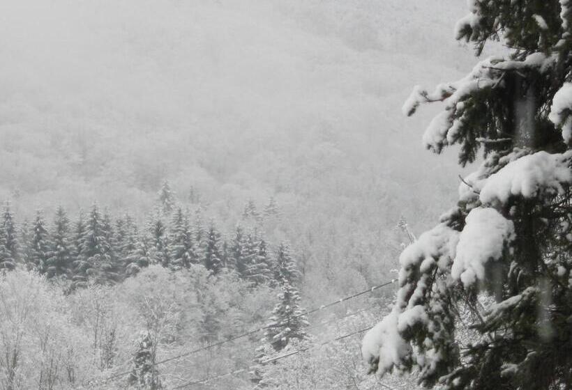 تختخواب و صبحانه Deerhill Inn