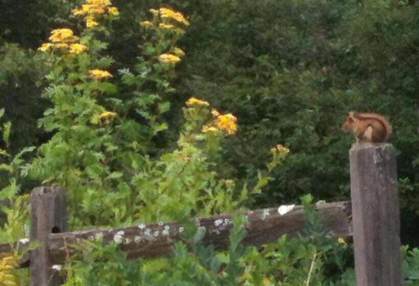 تختخواب و صبحانه Deerhill Inn