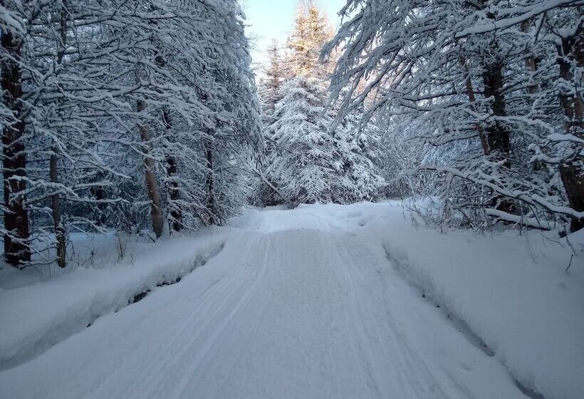 住宿加早餐  Hatcher Pass Cabins