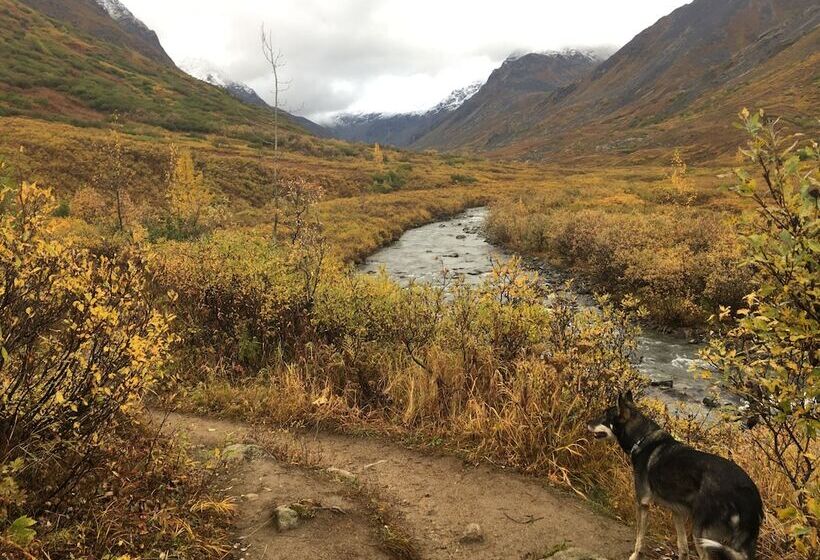住宿加早餐  Hatcher Pass Cabins
