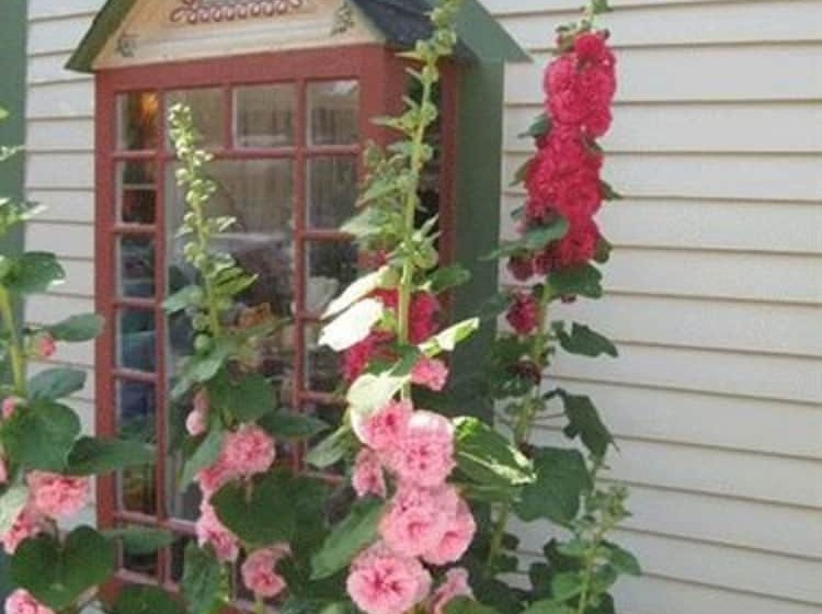 مبيت وإفطار Heart Of The Hills Inn