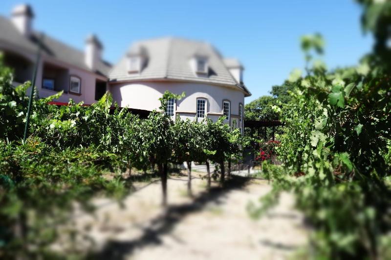 ベッドアンドブレックファースト Churon Inn Winery