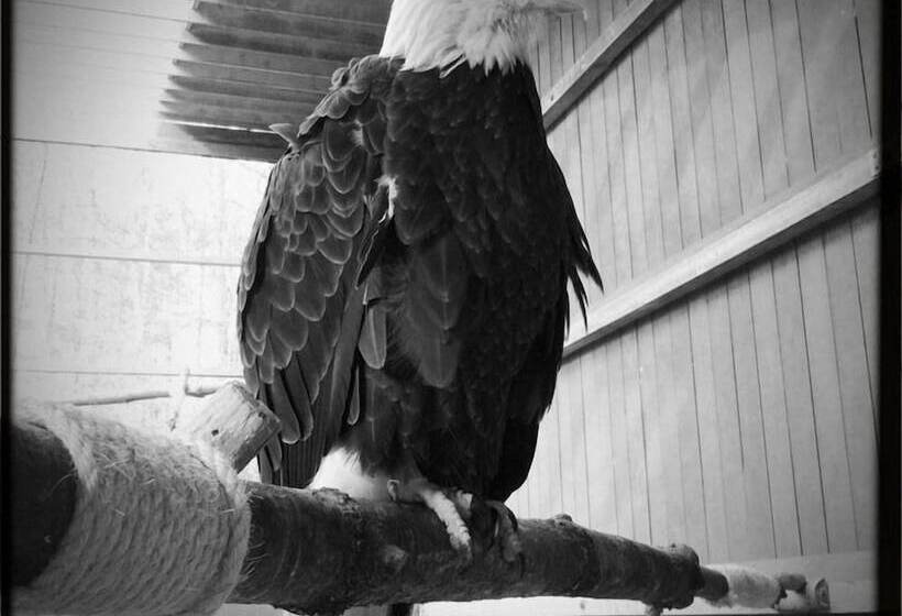 تختخواب و صبحانه Inn At Clearwater Pond