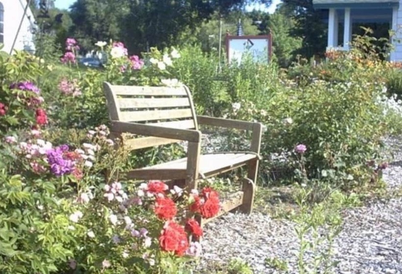 مبيت وإفطار Lucy's Place