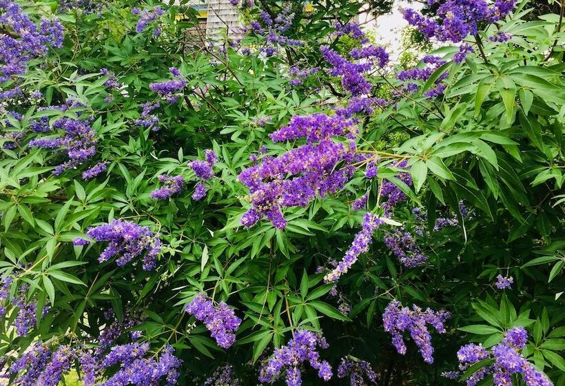 민박 Luther Ogden Inn