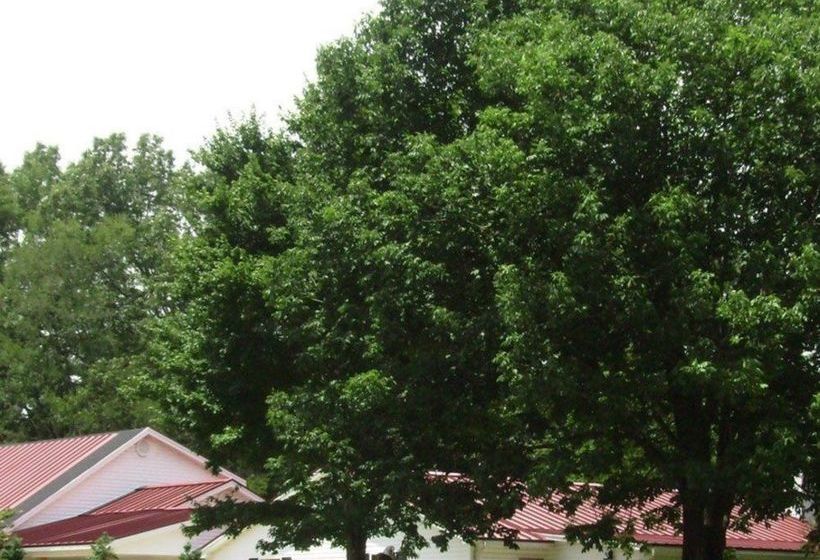 مبيت وإفطار Meadow View Farm