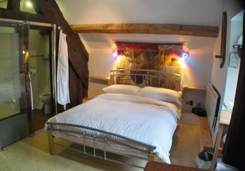 ベッドアンドブレックファースト Plas Dolmelynllyn Country