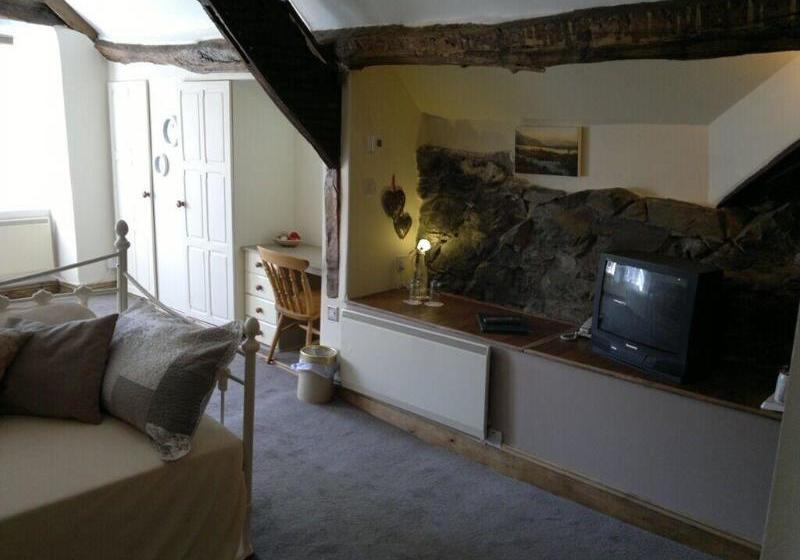 ベッドアンドブレックファースト Plas Dolmelynllyn Country