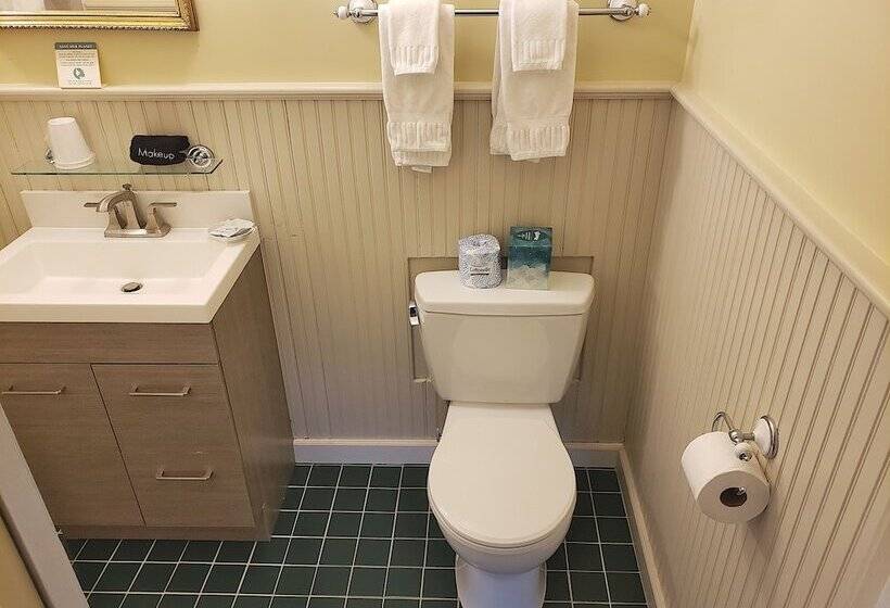 צימר The Primrose