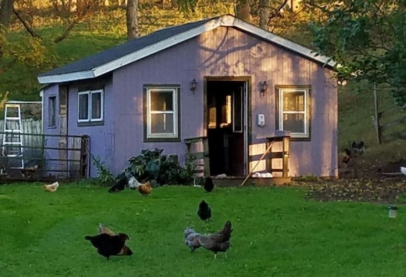 تختخواب و صبحانه Rainbow Ridge Farms