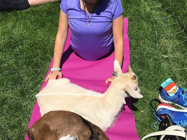 ベッドアンドブレックファースト Rainbow Ridge Farms