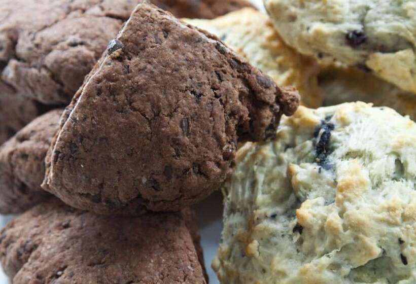 مبيت وإفطار Scranton Seahorse Inn