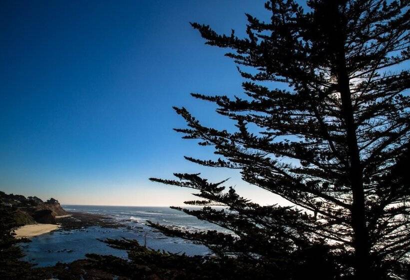 مبيت وإفطار Seal Cove Inn