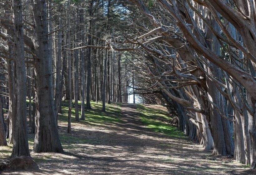 مبيت وإفطار Seal Cove Inn