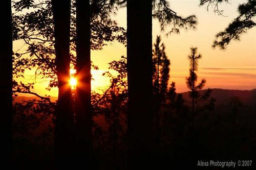 민박 Sierra Sun Cloud Inn  Colfax