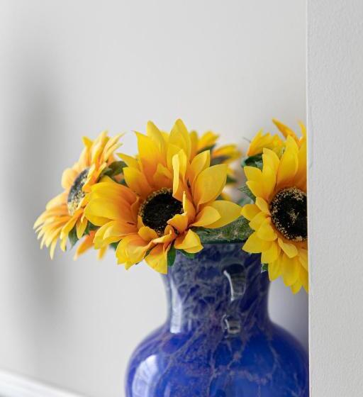 مبيت وإفطار South View