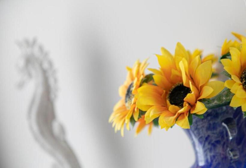 مبيت وإفطار South View