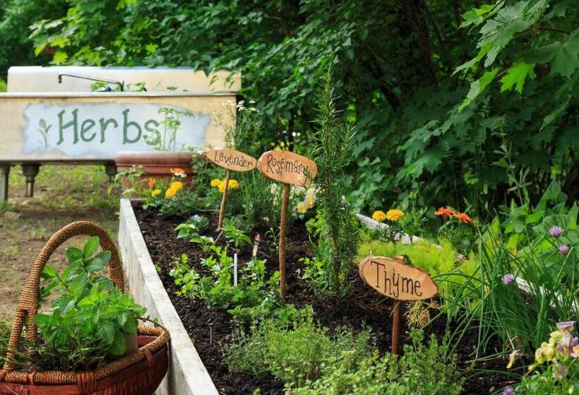 민박 Squam Lake Inn