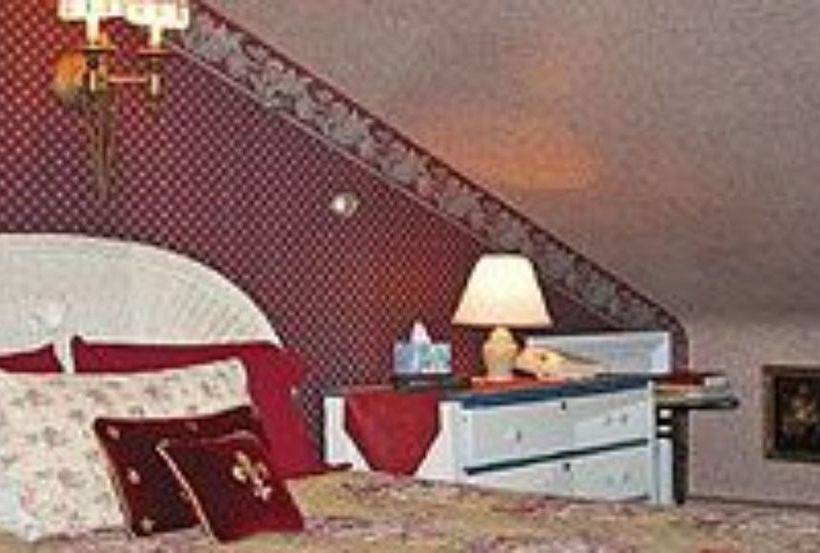 مبيت وإفطار The Doctor's Inn