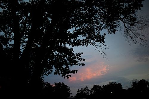 ベッドアンドブレックファースト The Hale House Inn