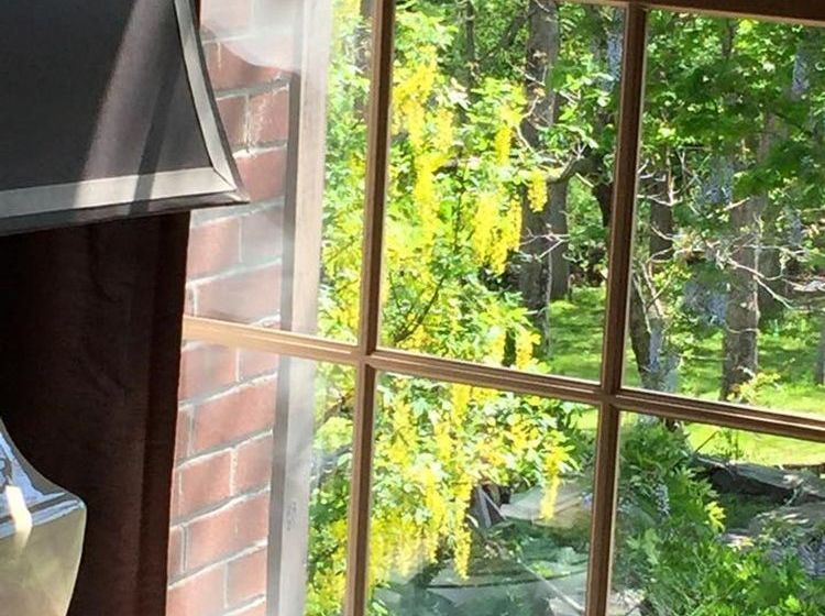 민박 Roseledge Country Inn & Farm Shoppe