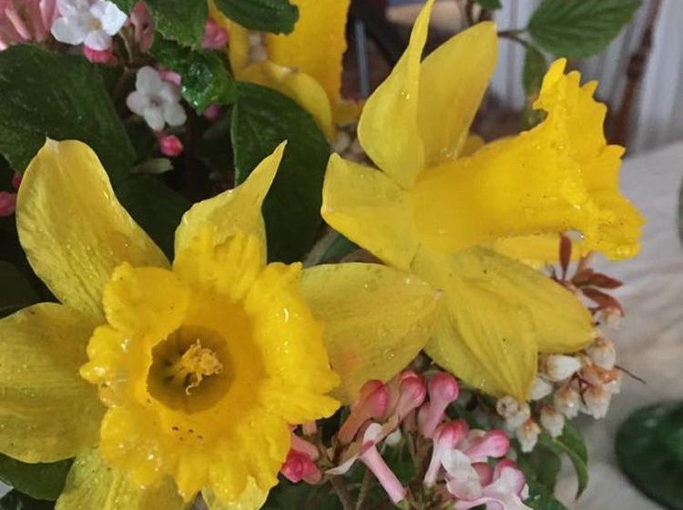 민박 Roseledge Country Inn & Farm Shoppe