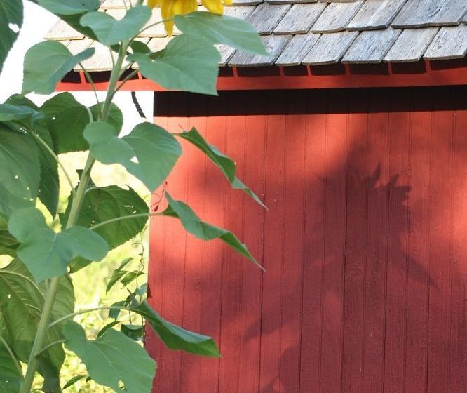 민박 Roseledge Country Inn & Farm Shoppe