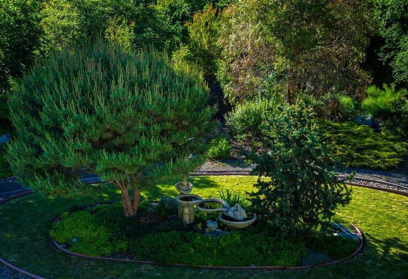 تختخواب و صبحانه The Willows