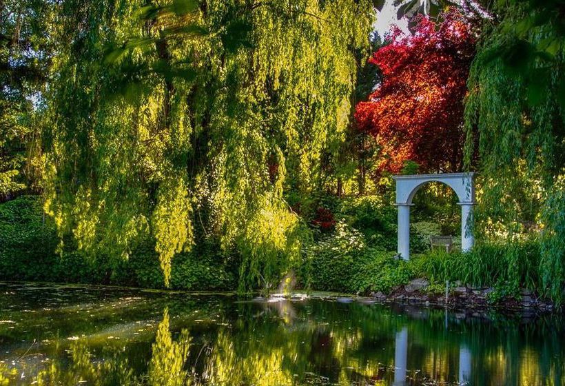 مبيت وإفطار The Willows