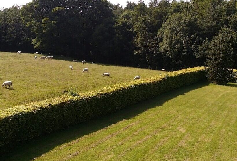 Nocleg ze śniadaniem Tower