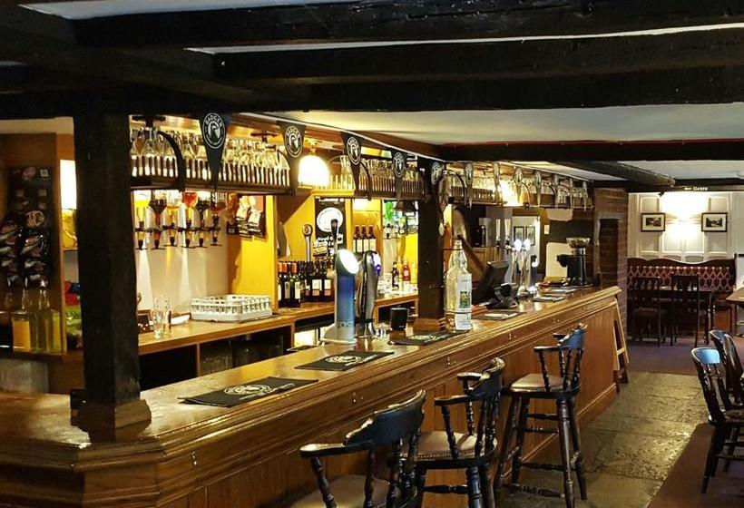 ベッドアンドブレックファースト True Lovers Knot