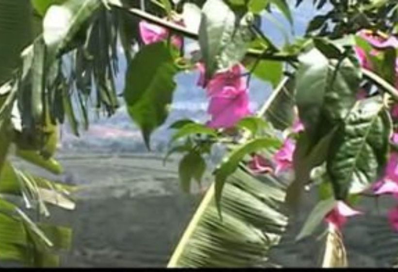 مبيت وإفطار Vina Romantica