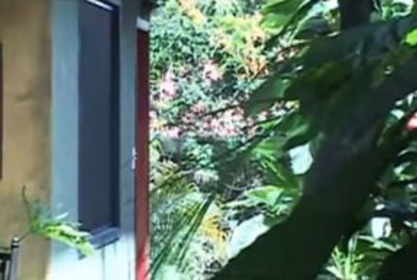 مبيت وإفطار Vina Romantica