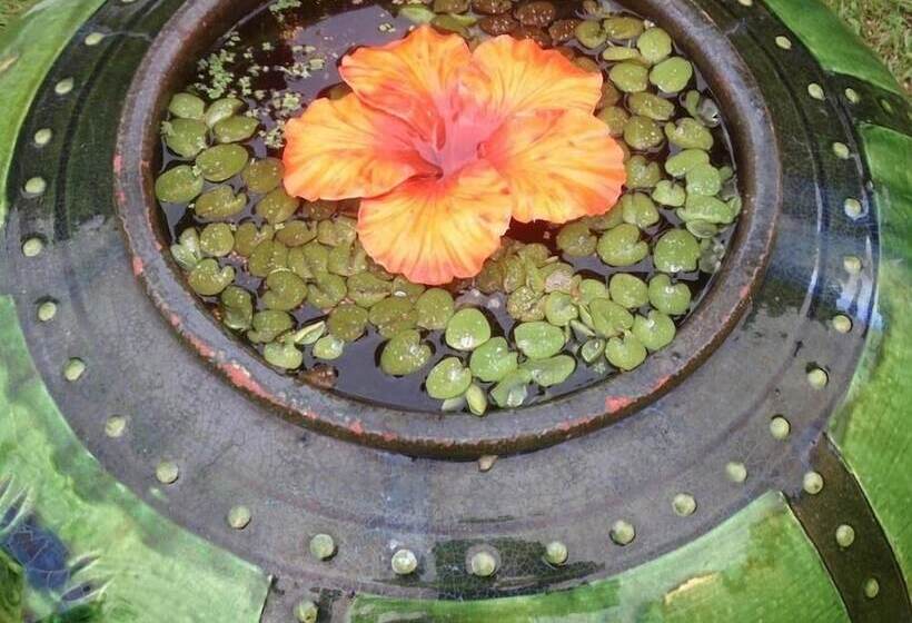 Bed and Breakfast Volcano Artist Cottage