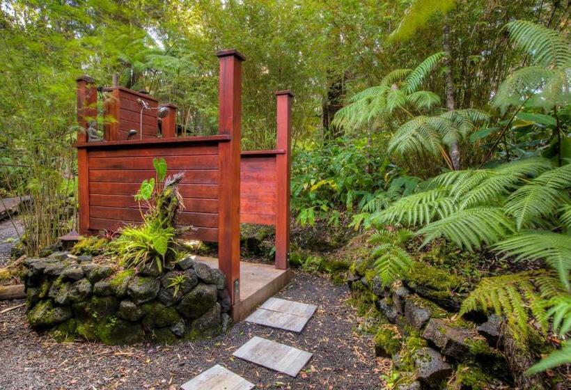 住宿加早餐 Volcano Mist Cottage