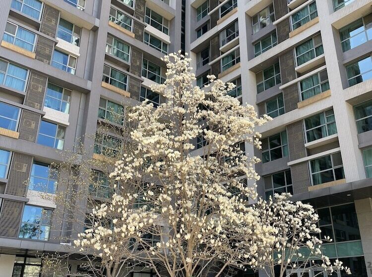 Beijing Seasons Park Apartment