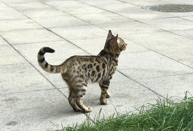 Beijing Seasons Park Apartment