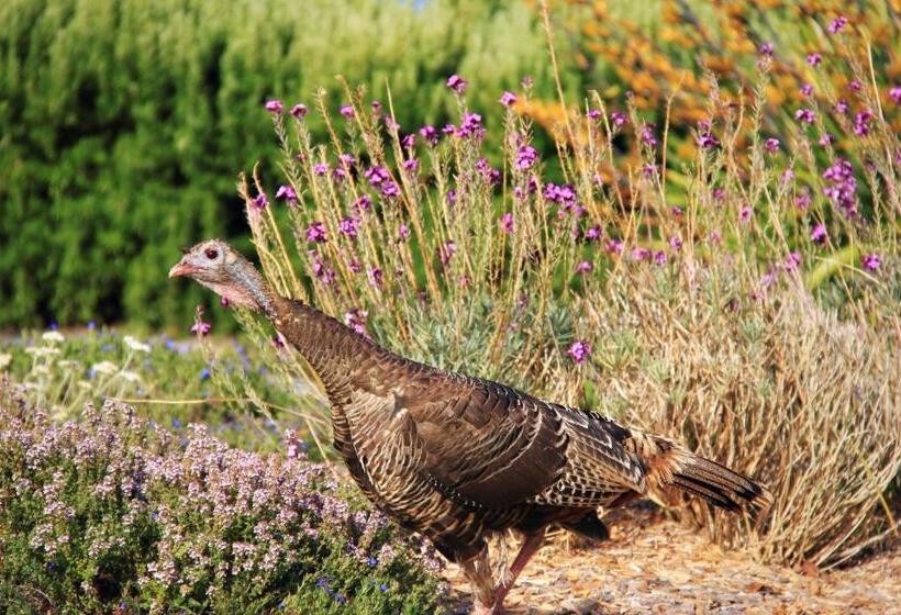 민박 Cottages At Little River Cove