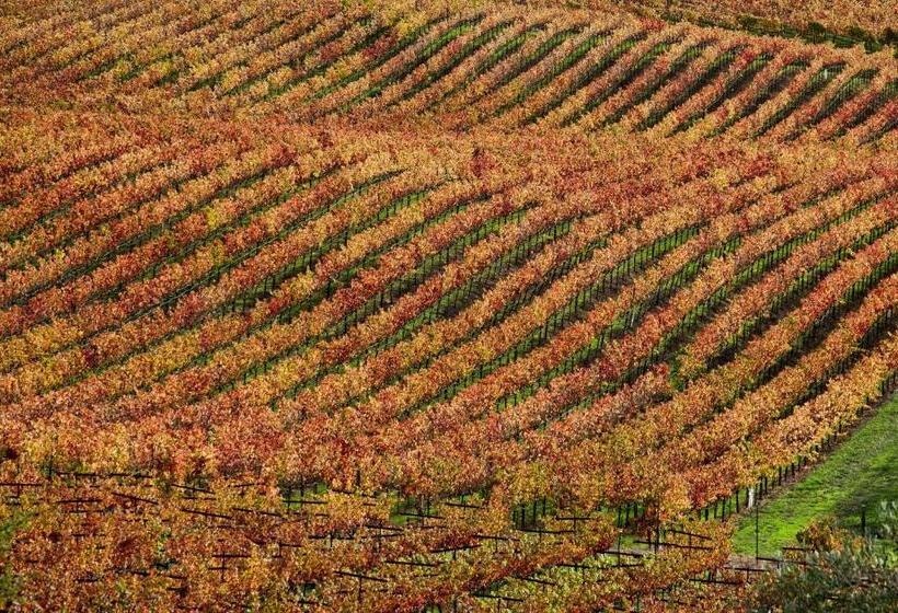민박 Cottages At Little River Cove